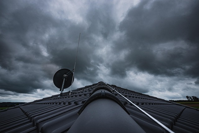 Udnyt udsigten: Fladt tag som terrasse i naturvenlige sommerhuse